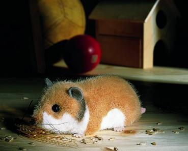 Goldhamster