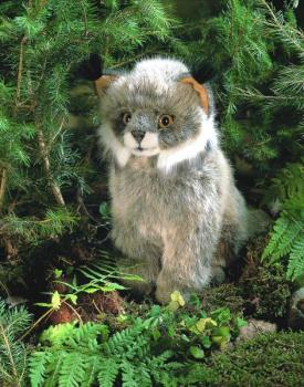 kleiner Luchs Juri, sitzend