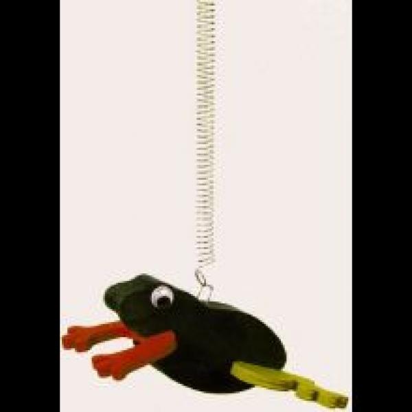 Jumper Frosch*