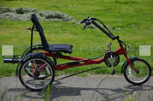 Lanztec Trike mit Elektroantrieb mit 250 Watt Motor