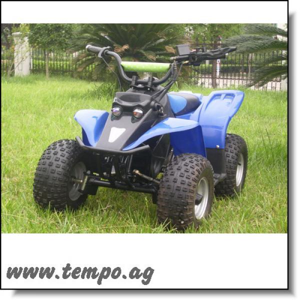 E-Quad mit Elektromotor 450 Watt