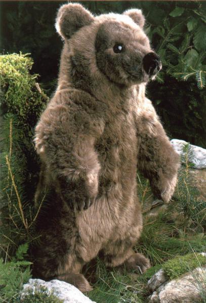 Braunbär Schnuffel