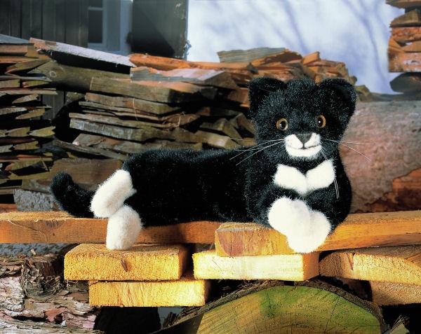 kleine Katze Fini, schw./weiß